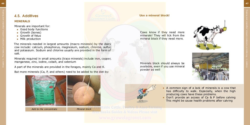 Growel Guide to Dairy Cattle Feeding & Nutrition