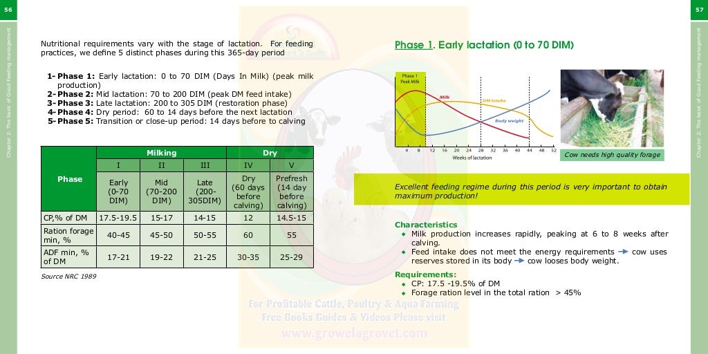 Growel Guide to Dairy Cattle Feeding & Nutrition