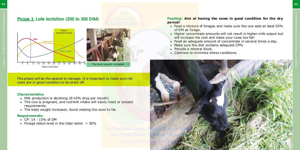 Growel Guide to Dairy Cattle Feeding & Nutrition