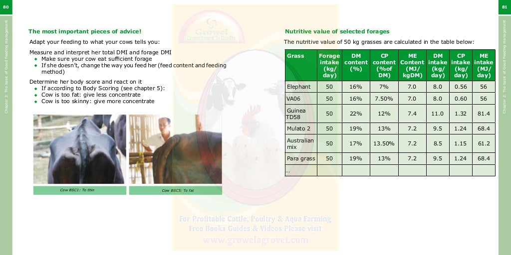 Growel Guide to Dairy Cattle Feeding & Nutrition