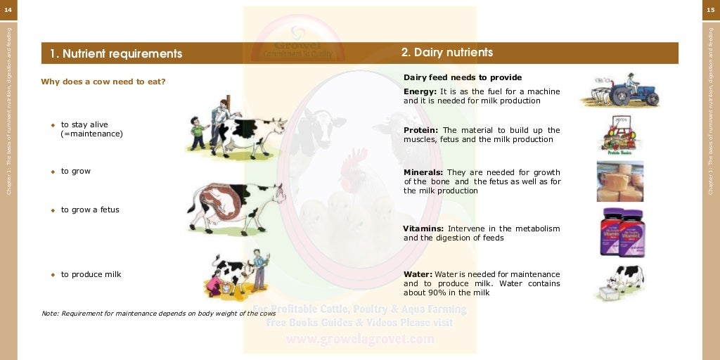 Growel Guide to Dairy Cattle Feeding & Nutrition