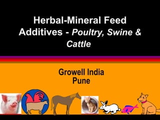 Herbal-Mineral Feed
Additives - Poultry, Swine &
Cattle
Growell India
Pune
 