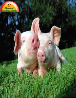 Growel' Swine
Nutrition Guide
 