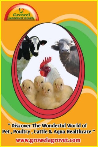 Growel Agrovet Pvt. Ltd. Poultry & Cattle Healthcare Brochure-2019
