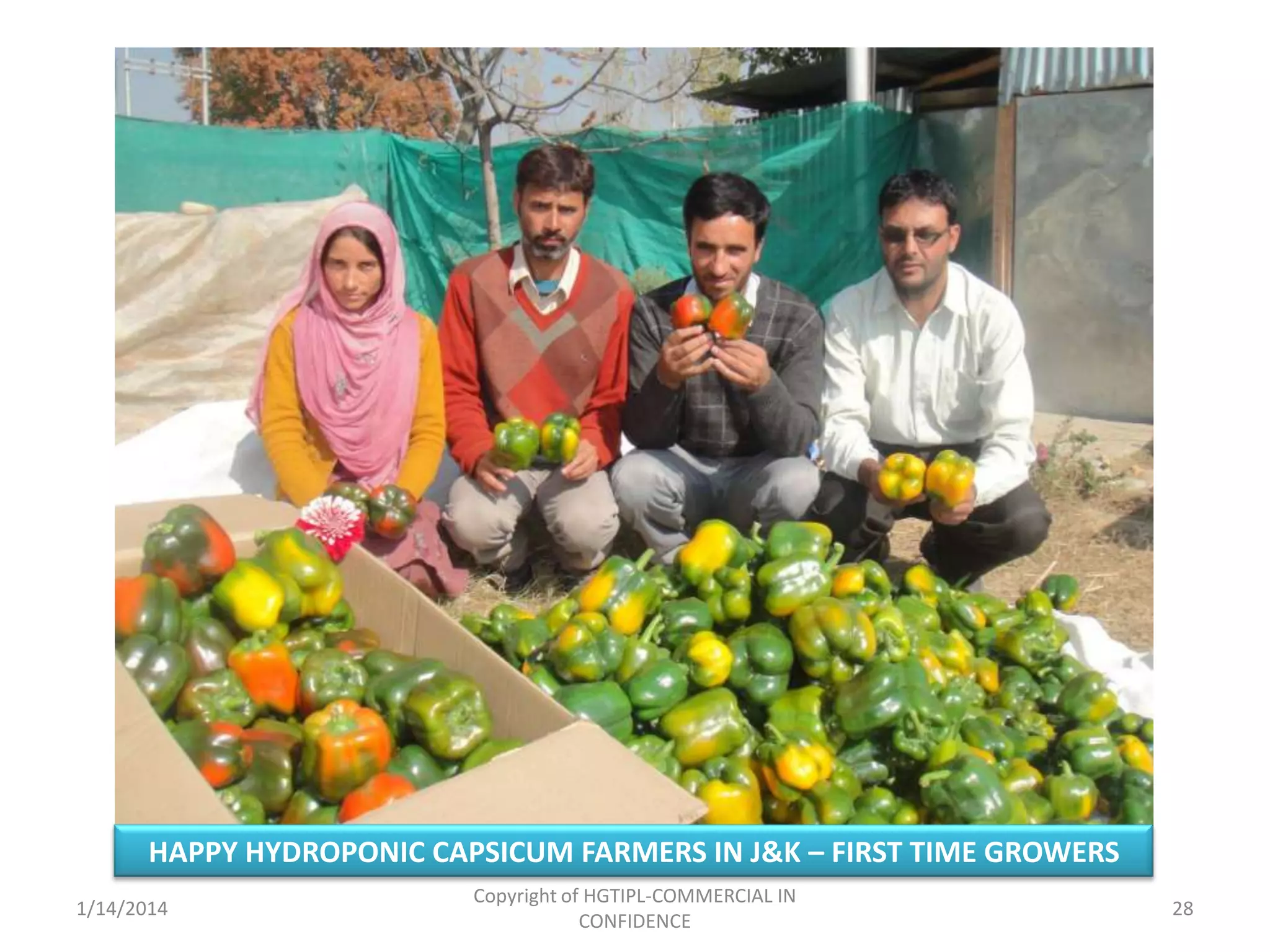 HAPPY HYDROPONIC CAPSICUM FARMERS IN J&K – FIRST TIME GROWERS
1/14/2014

Copyright of HGTIPL-COMMERCIAL IN
CONFIDENCE

28

 