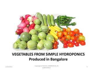 VEGETABLES FROM SIMPLE HYDROPONICS
Produced in Bangalore
1/14/2014

Copyright of HGTIPL-COMMERCIAL IN
CONFIDENCE

5

 