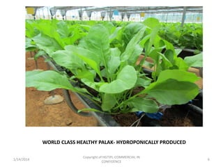 WORLD CLASS HEALTHY PALAK- HYDROPONICALLY PRODUCED
1/14/2014

Copyright of HGTIPL-COMMERCIAL IN
CONFIDENCE

6

 