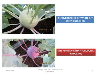 THE HYDROPONIC OFF WHITE OFF
GREEN KNOL KHOL

THE PURPLE VIENNA HYDROPONIC
KNOL KHOL

30-07-2013

Copyright of HGTIPL-COMMERCIAL IN
CONFIDENCE

21

 