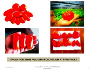 ITALIAN TOMATOES MADE HYDROPONICALLY AT BANGALORE
30-07-2013

Copyright of HGTIPL-COMMERCIAL IN
CONFIDENCE

23

 