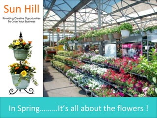 Sun Hill Providing Creative Opportunities To Grow Your Business In Spring………It’s all about the flowers ! 