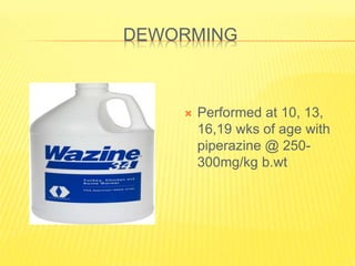 DEWORMING
 Performed at 10, 13,
16,19 wks of age with
piperazine @ 250-
300mg/kg b.wt
 