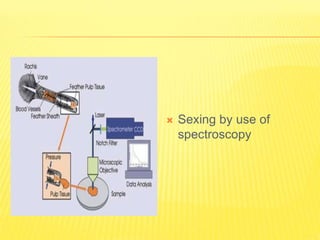 Sexing by use of
spectroscopy
 