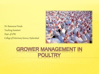 GROWER MANAGEMENT IN
POULTRY
Dr. Rameswar Panda
Teaching Assistant
Dept. of LPM
College of Veterinary Science, Hyderabad
 