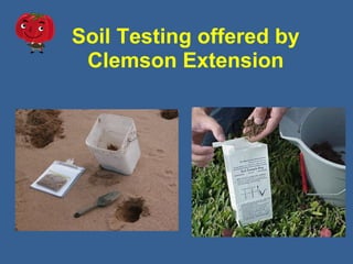 Soil Testing offered by
Clemson Extension
 