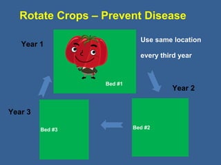 Bed #2Bed #3
Year 1
Year 2
Year 3
Rotate Crops – Prevent Disease
Use same location
every third year
Bed #1
 