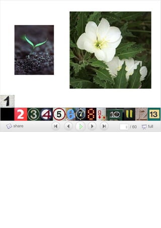 Growing A Brand Growing A Team