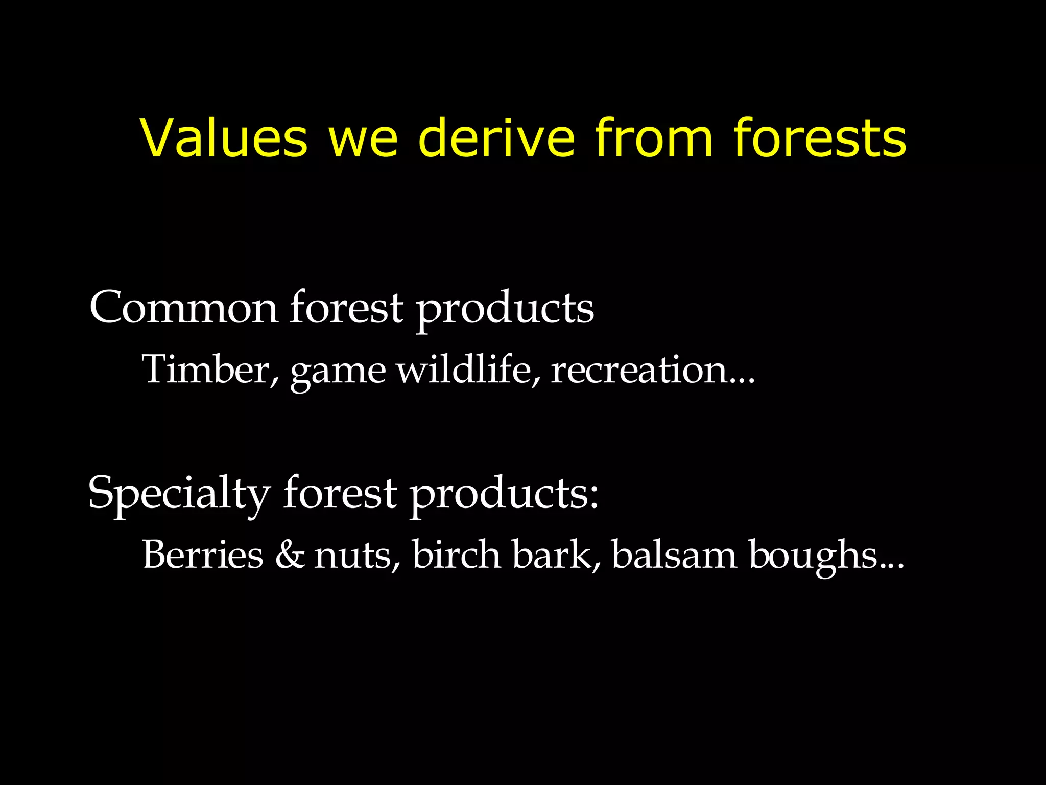 Values we derive from forests Common forest products Timber, game wildlife, recreation... Specialty forest products: Berries & nuts, birch bark, balsam boughs... 