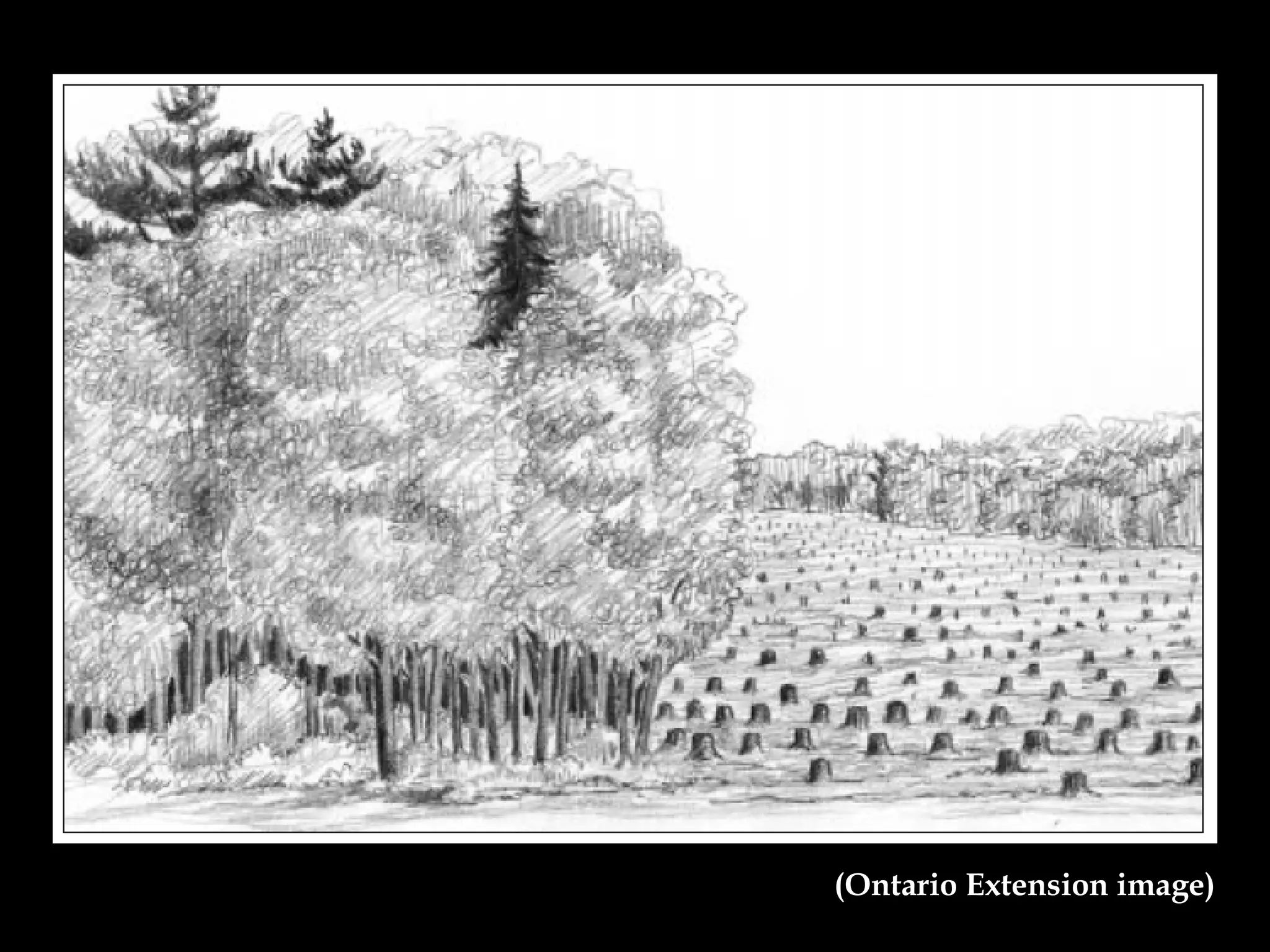 (Ontario Extension image) 