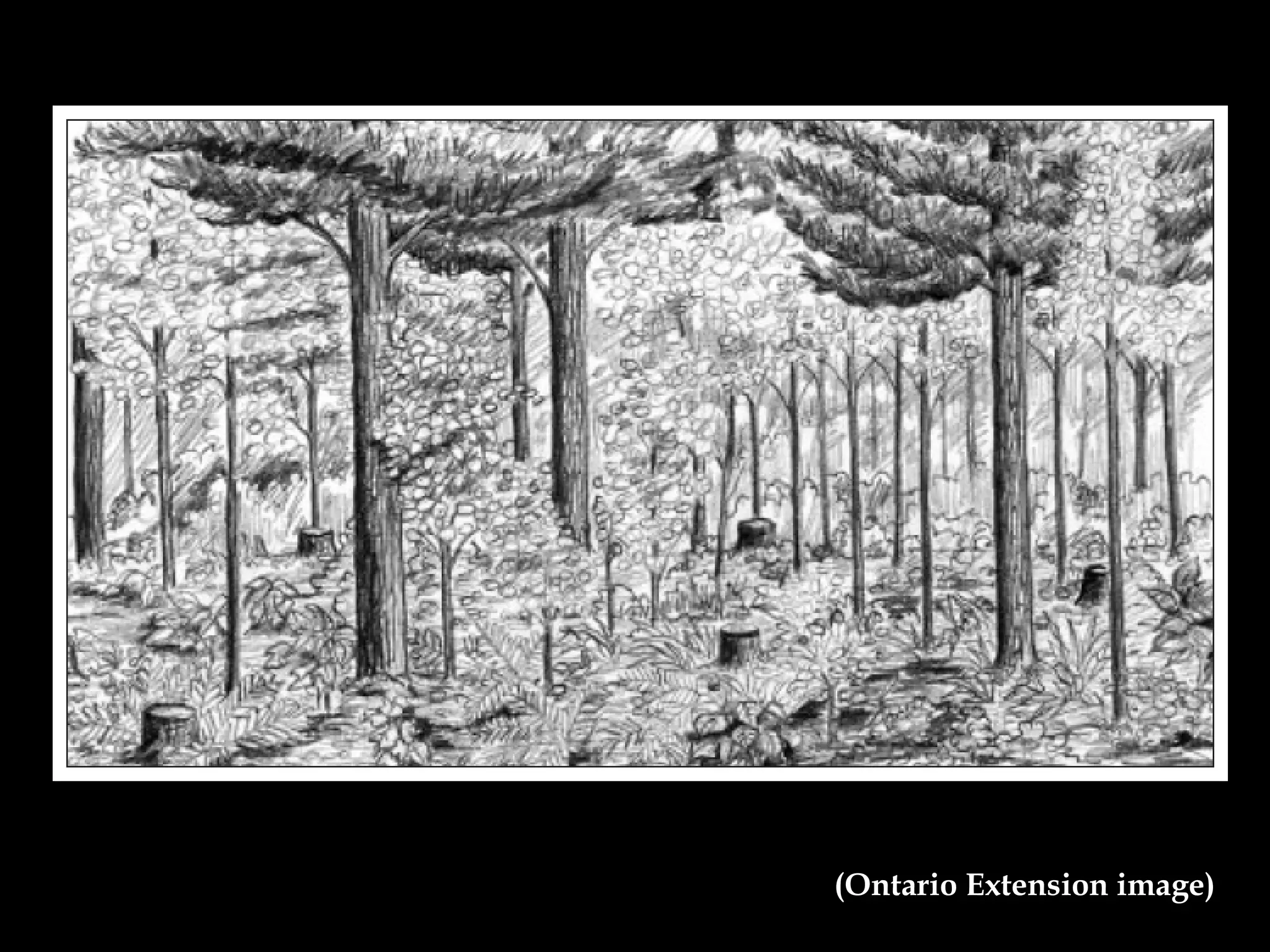 (Ontario Extension image) 