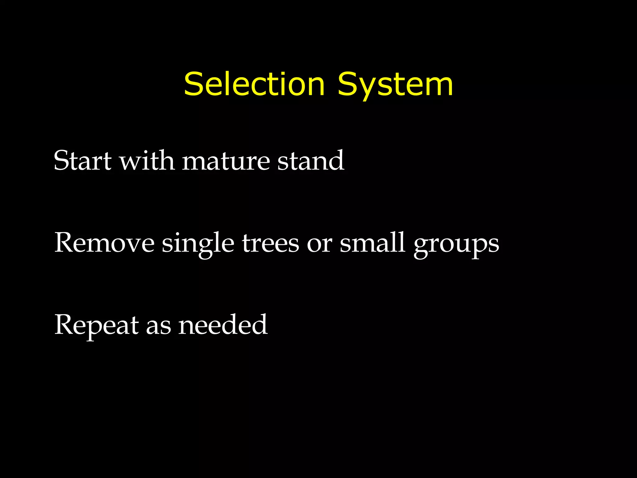 Selection System Start with mature stand Remove single trees or small groups Repeat as needed 