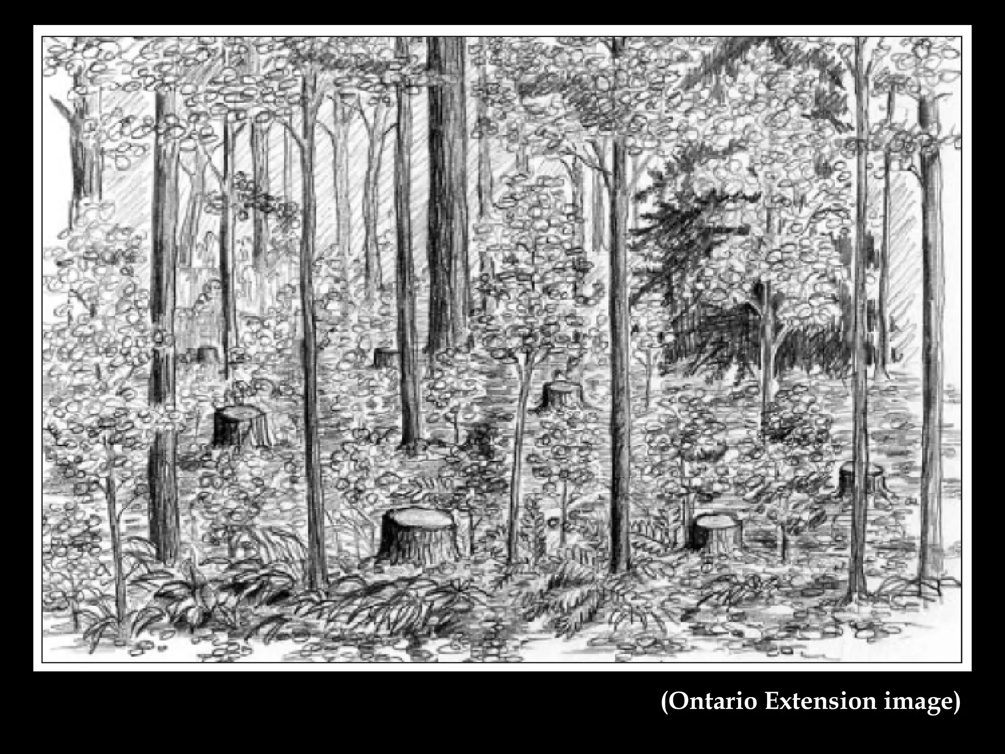(Ontario Extension image) 