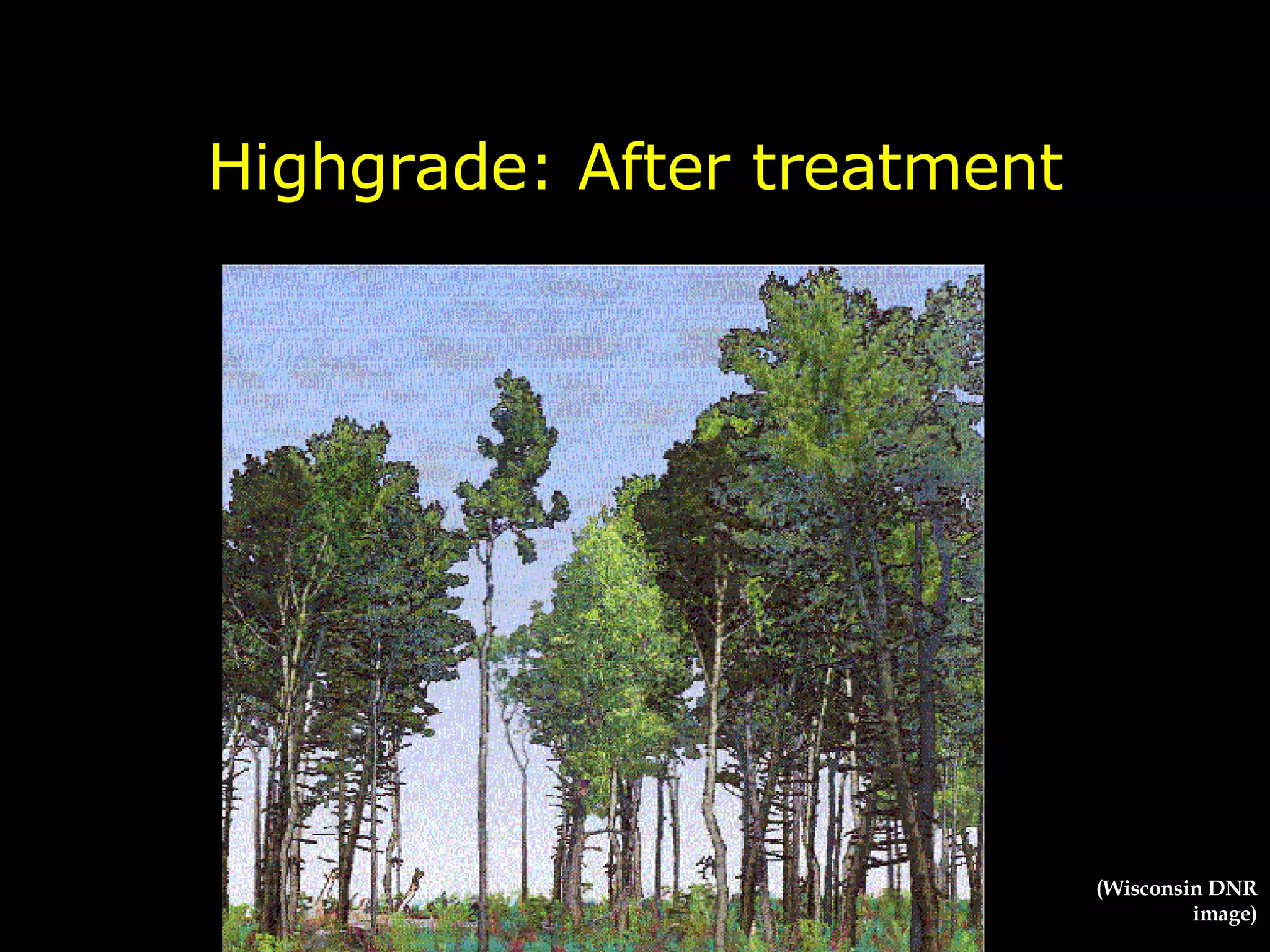 Highgrade: After treatment (Wisconsin DNR image) 