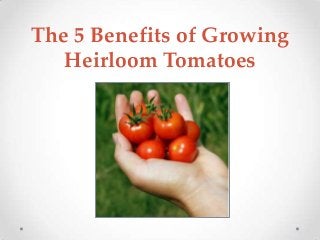 The 5 Benefits of Growing
Heirloom Tomatoes
 
