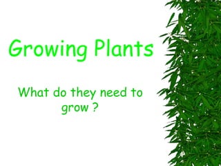Growing Plants What do they need to grow ? 