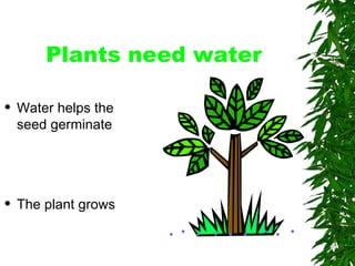 Plants need water Water helps the seed germinate The plant grows • • • • • • • • • 