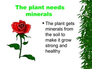 The plant needs minerals  The plant gets minerals from the soil to make it grow strong and healthy 