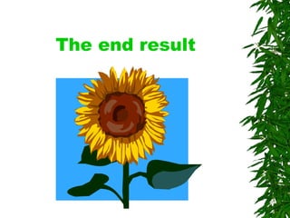 The end result 