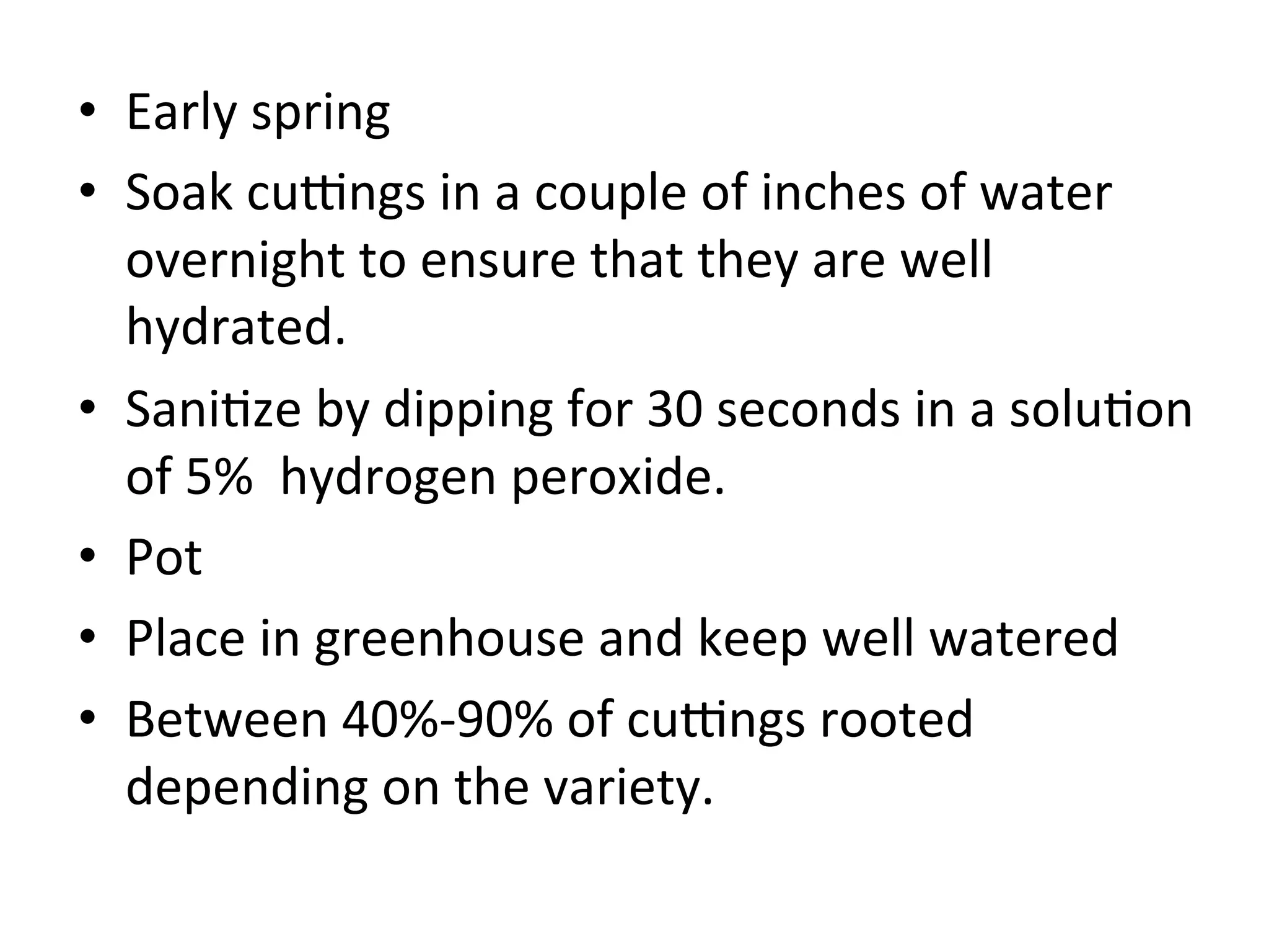 •  Early	
  spring	
  
•  Soak	
  cu`ngs	
  in	
  a	
  couple	
  of	
  inches	
  of	
  water	
  
overnight	
  to	
  ensure	
  that	
  they	
  are	
  well	
  
hydrated.	
  
•  Sani>ze	
  by	
  dipping	
  for	
  30	
  seconds	
  in	
  a	
  solu>on	
  
of	
  5%	
  	
  hydrogen	
  peroxide.	
  	
  
•  Pot	
  	
  
•  Place	
  in	
  greenhouse	
  and	
  keep	
  well	
  watered	
  
•  Between	
  40%-­‐90%	
  of	
  cu`ngs	
  rooted	
  
depending	
  on	
  the	
  variety.	
  
 
