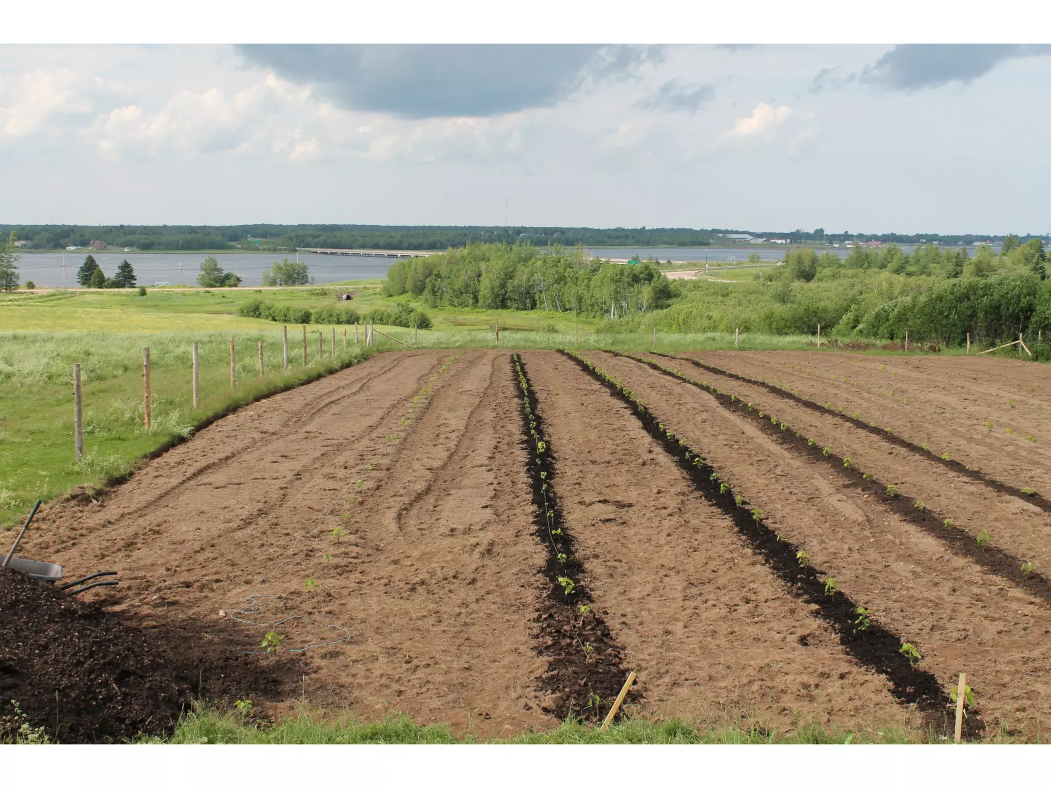 Drip	
  irriga>on	
  system	
  
 