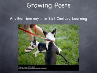 Growing Posts
Another journey into 21st Century Learning