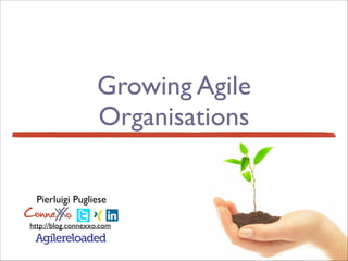 Growing Agile
Organisations
ConneXoX
http://blog.connexxo.com
Pierluigi Pugliese
Agilereloaded
 