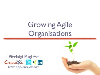 Growing Agile 
Organisations 
Pierluigi Pugliese 
ConneX Xo 
http://blog.connexxo.com 
 