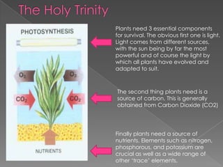 Plants need 3 essential components
for survival. The obvious first one is light.
Light comes from different sources,
with the sun being by far the most
powerful and of course the light by
which all plants have evolved and
adapted to suit.



The second thing plants need is a
source of carbon. This is generally
obtained from Carbon Dioxide (CO2)




Finally plants need a source of
nutrients. Elements such as nitrogen,
phosphorous, and potassium are
crucial as well as a wide range of
other ‘trace’ elements.
 