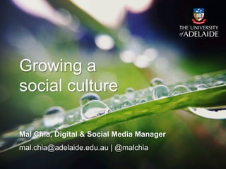 Growing a
social culture

Mal Chia, Digital & Social Media Manager
mal.chia@adelaide.edu.au | @malchia
 