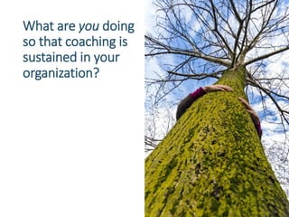What are you doing
so that coaching is
sustained in your
organization?
 