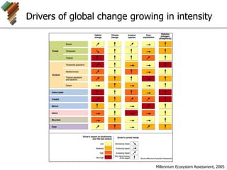 Drivers of global change growing in intensity
Millennium Ecosystem Assessment, 2005
 