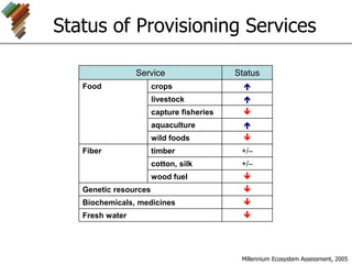 Service Status
Food crops 
livestock 
capture fisheries 
aquaculture 
wild foods 
Fiber timber +/–
cotton, silk +/–
wood fuel 
Genetic resources 
Biochemicals, medicines 
Fresh water 
Status of Provisioning Services
Millennium Ecosystem Assessment, 2005
 