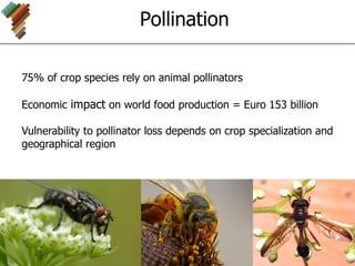 Pollination
75% of crop species rely on animal pollinators
Economic impact on world food production = Euro 153 billion
Vulnerability to pollinator loss depends on crop specialization and
geographical region
 