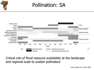 Pollination: SA
From: Melin et al. 2014 SAJS
Critical role of floral resource availability at the landscape
and regional scale to sustain pollinators
 