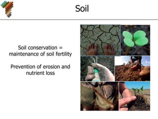 Soil
Soil conservation =
maintenance of soil fertility
Prevention of erosion and
nutrient loss
 