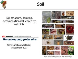 Soil
Soil structure, aeration,
decomposition influenced by
soil biota
From: Janion-Scheepers et al. 2016 Pedobiologia
Sien: Landbou weekblad,
1 Desember 2017
a
d e h
f g
b c i j
k l
m n o p
q
r
s
t
u
v
w x2
y1
x1
y2x4
x3
 