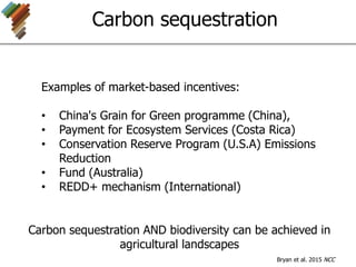 Carbon sequestration
Carbon sequestration AND biodiversity can be achieved in
agricultural landscapes
Bryan et al. 2015 NCC
Examples of market-based incentives:
• China's Grain for Green programme (China),
• Payment for Ecosystem Services (Costa Rica)
• Conservation Reserve Program (U.S.A) Emissions
Reduction
• Fund (Australia)
• REDD+ mechanism (International)
 