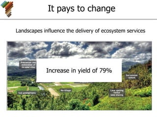 Landscapes influence the delivery of ecosystem services
It pays to change
Increase in yield of 79%
 