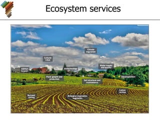 Ecosystem services
 