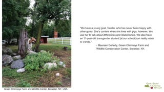 “We have a young goat, Vanilla, who has never been happy with
other goats. She’s content when she lives with pigs, however. We
use her to talk about differences and relationships. We also have
an 11-year-old transgender student [at our school] can really relate
to Vanilla.”
- Maureen Doherty, Green Chimneys Farm and
Wildlife Conservation Center, Brewster, NY.
Green Chimneys Farm and Wildlife Center, Brewster, NY, USA
 