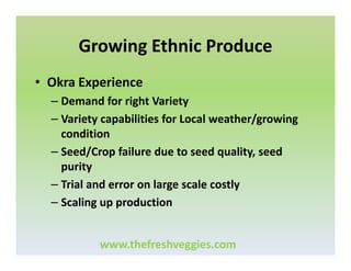 Growing Ethnic Produce
• Okra Experience
– Demand for right Variety
– Variety capabilities for Local weather/growing
condition
– Seed/Crop failure due to seed quality, seed
purity
– Trial and error on large scale costly
– Scaling up production
www.thefreshveggies.com

 